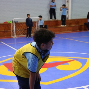 Día de la Actividad Física